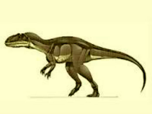 Xuanhanosaurus dinosaur