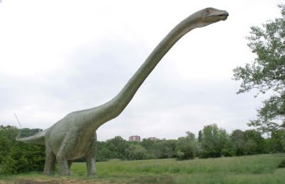 Pictures Of Seismosaurus