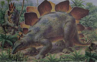 Stegosaurus Dinosaur 