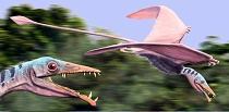 Eudimorphodon dinosaur