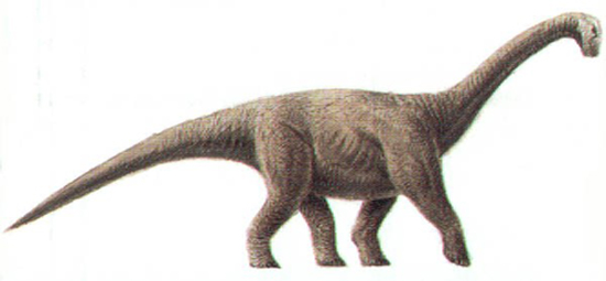 Lapparentosaurus dinosaurs , facts | pictures -Lapparentosaurus habitat.