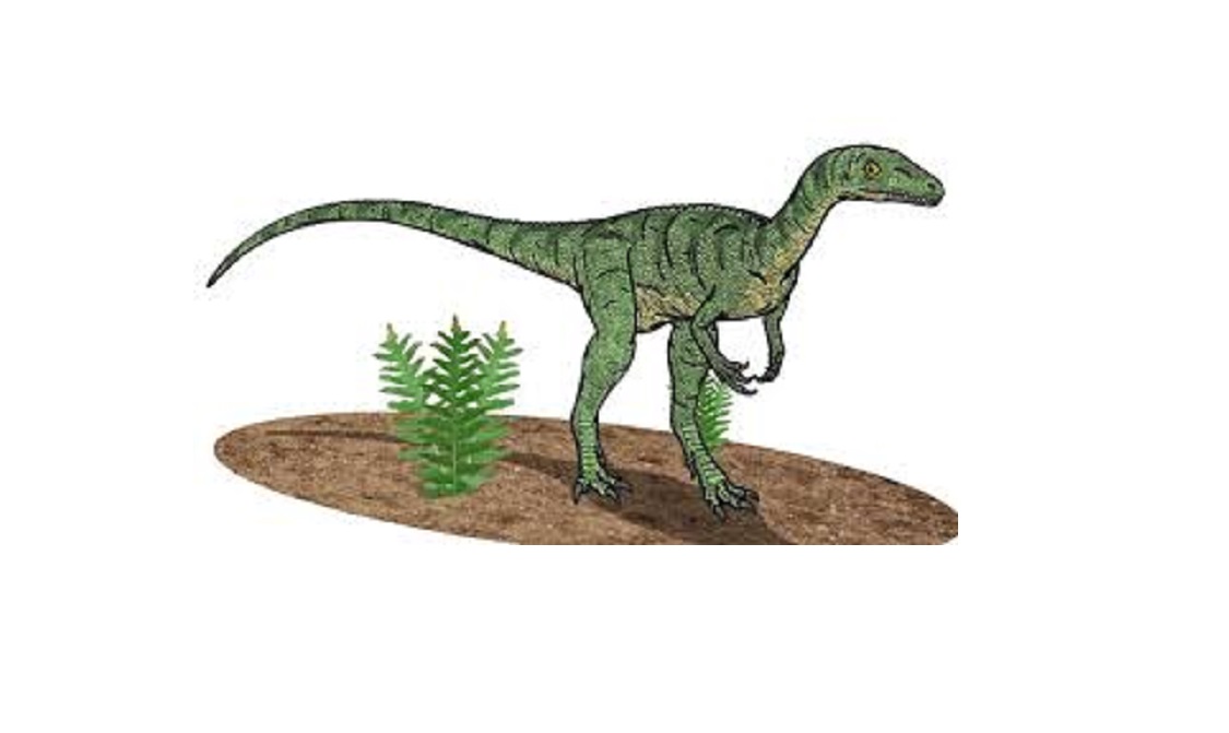 Alwalkeria dinosaurs , facts | pictures -Alwalkeria dinosaurs habitat.