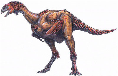 Avimimus Portentosus Dinosaur, Facts | Information - Dinosaurs Skeletons